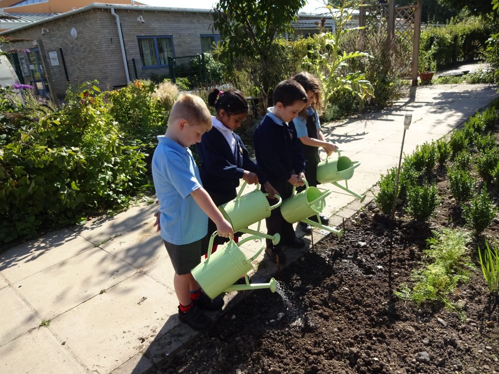 Bellbird pupils watering the Knot Garden
