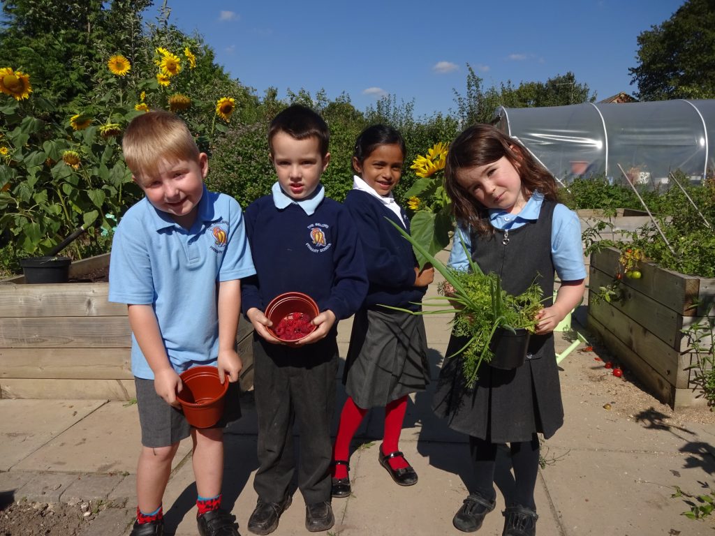 Bellbird pupils holding fruit and plants in the school allotment