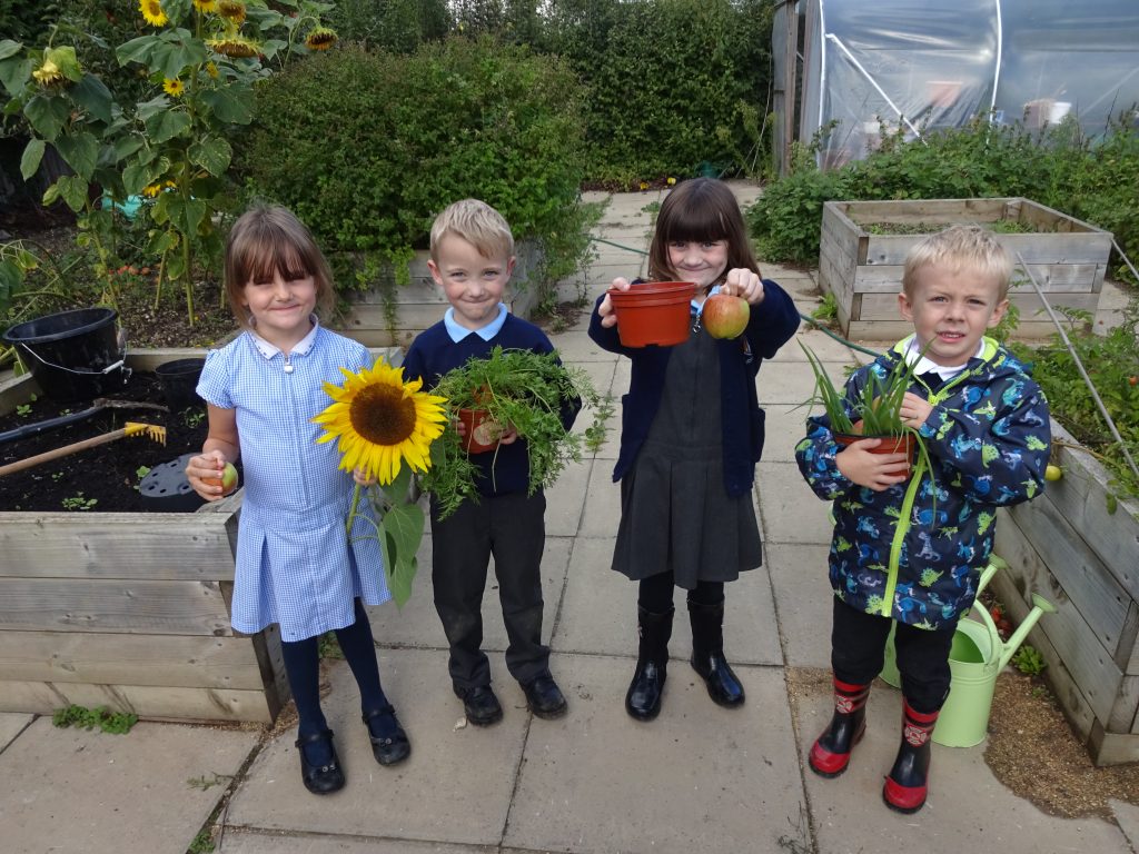 Bellbird pupils with flowers, fruit and vegetables from the allotment
