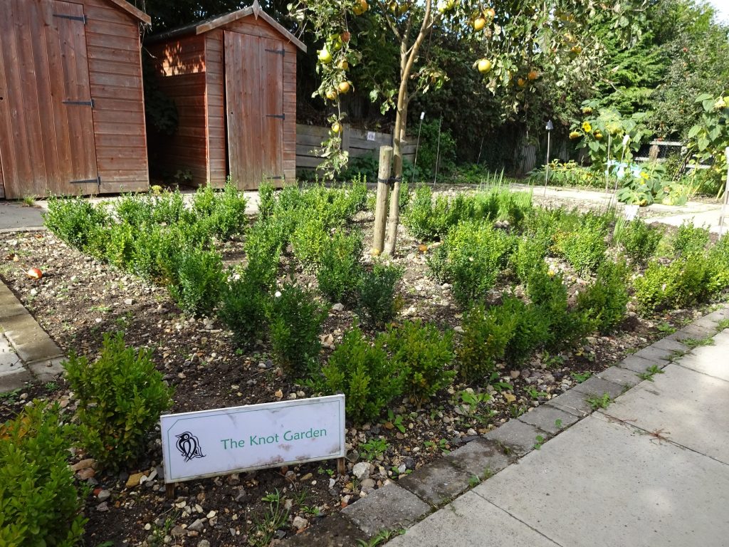 The Knot Garden at Bellbird school allotment