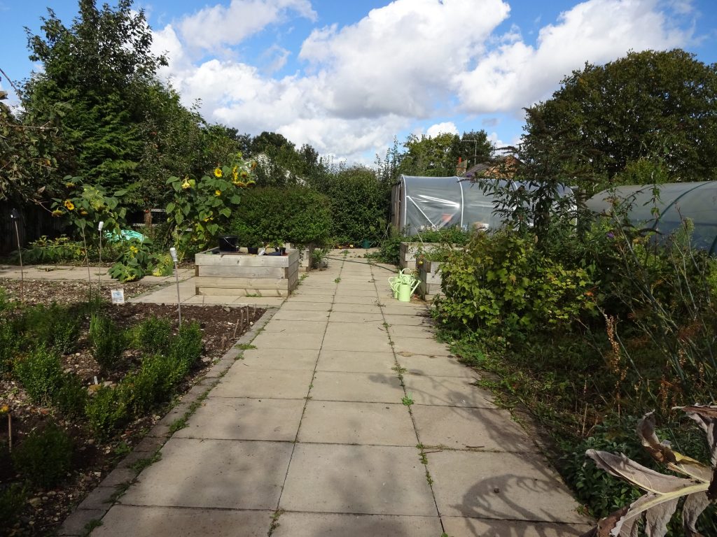 Path through the Bellbird school allotment with raised beds and polytunnel